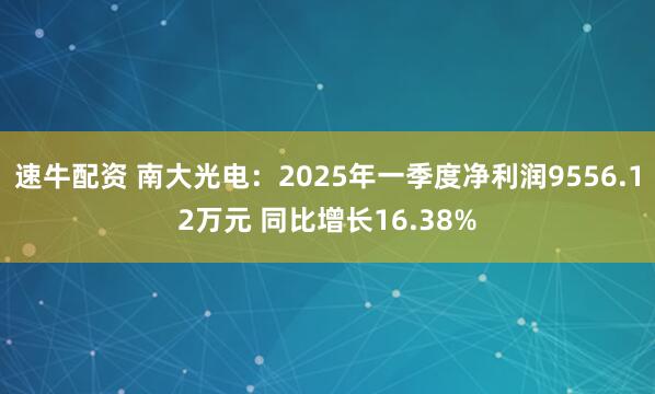 速牛配资 南大光电:2025年一季度净利润9556.12万元 同比增长16.38%