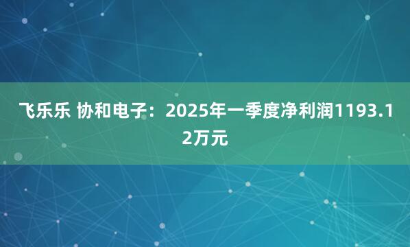 飞乐乐 协和电子:2025年一季度净利润1193.12万元