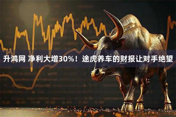 升鸿网 净利大增30%！途虎养车的财报让对手绝望