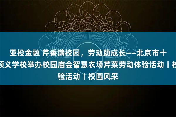 亚投金融 芹香满校园，劳动助成长——北京市十一学校顺义学校举办校园庙会智慧农场芹菜劳动体验活动丨校园风采
