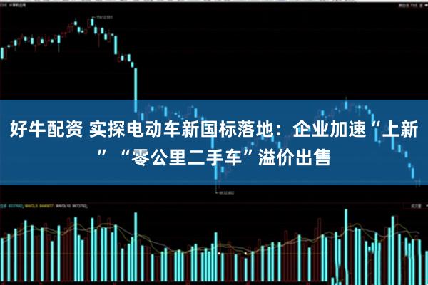 好牛配资 实探电动车新国标落地：企业加速“上新” “零公里二手车”溢价出售