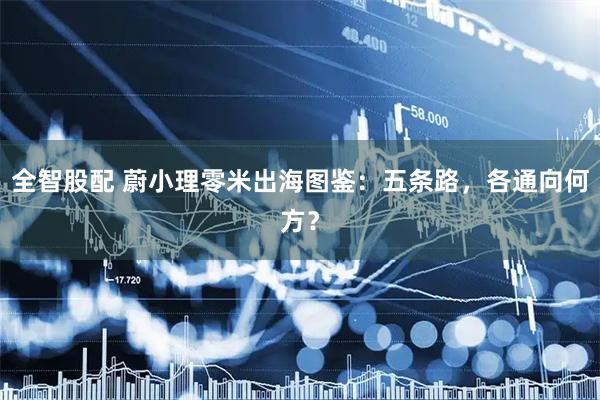 全智股配 蔚小理零米出海图鉴：五条路，各通向何方？