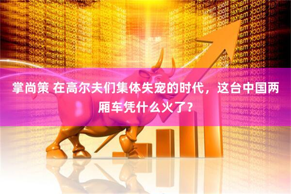 掌尚策 在高尔夫们集体失宠的时代，这台中国两厢车凭什么火了？